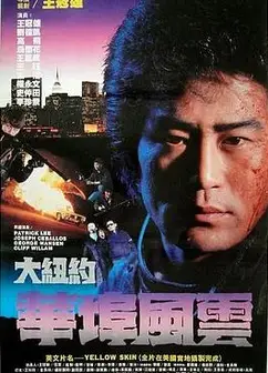 大纽约华埠风云