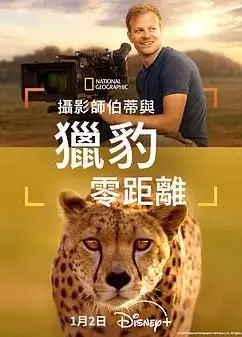 摄影师贝尔蒂与猎豹零距离