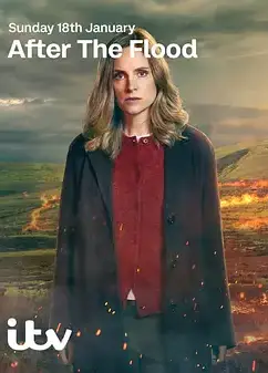 洪水之后 第二季