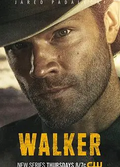 德州巡警第三季