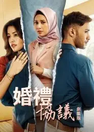 婚礼协议剧集版第一季