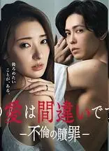 这份爱是错误吗～出轨的赎罪