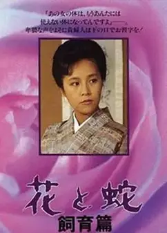 花与蛇饲育篇