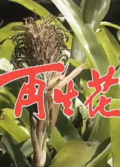 再生花1990