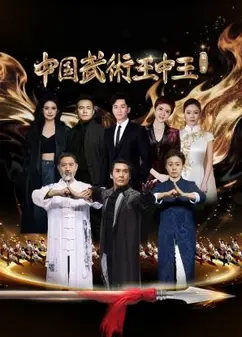 中国武术王中王 第二季