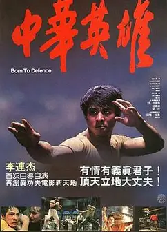 中华英雄1988