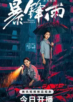 暴锋雨