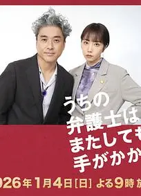 我家的律师又惹麻烦了