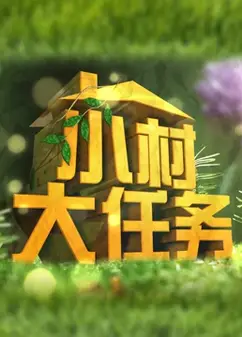 小村大任务