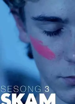 羞耻第三季法国版