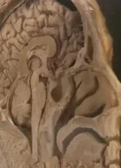 追踪人性之恶