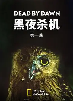 黑夜杀机第一季