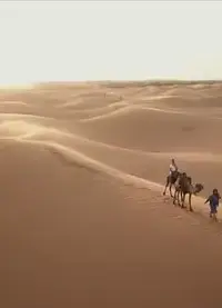 背游摩洛哥