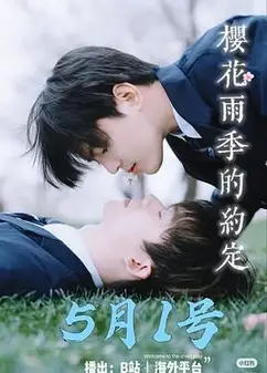 樱花雨季的约定