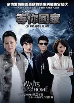 等你回家2013