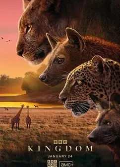 动物王国(普通话版)