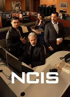 海军罪案调查处第二十三季