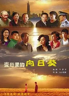 葵花进城