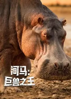 河马：巨兽之王