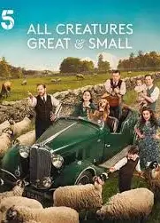 万物生灵 第六季