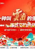 “有一种叫云南的生活”2024年云南省春节文艺晚会