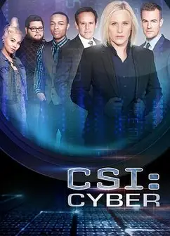 网络犯罪调查第二季
