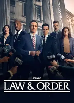 法律与秩序 第二十五季