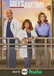 实习医生格蕾 第二十二季