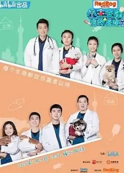 小主安康－宠物医院2