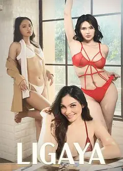 欢愉的代价