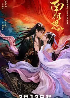 南相思