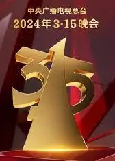 315晚会