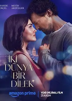 两个世界一个愿望