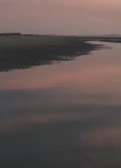 两个爸爸的故事​