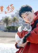 旅行和我和猫