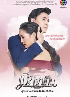 非婚不可เมียจำเป็น