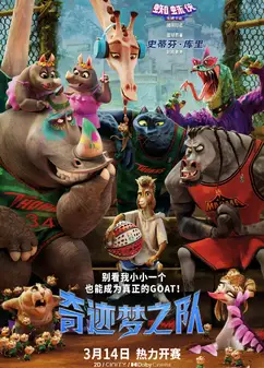 奇迹梦之队