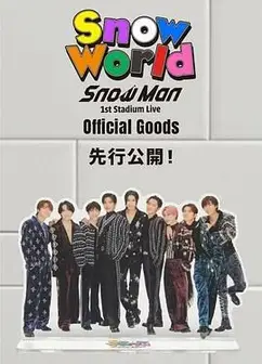 Snow Man 首次体育场演唱会