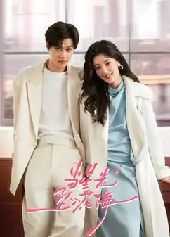 当星光坠入花海